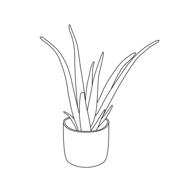 line icons. Succulent, tropical plant vector illustrations, thin signs for organic food, cosmetic.