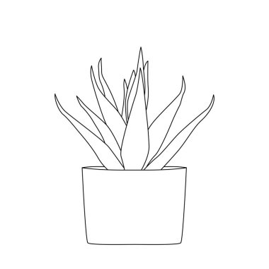 Decorative indoor and office plants in pot. Vector doodle plants illustration.