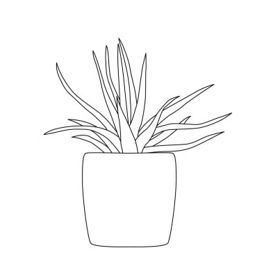 Decorative indoor and office plants in pot. Vector doodle plants illustration.