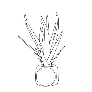 Decorative indoor and office plants in pot. Vector doodle plants illustration.