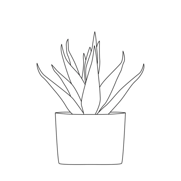 Decorative Indoor Office Plants Pot Vector Doodle Plants Illustration — 스톡 벡터