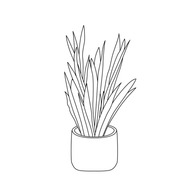 Decorative Indoor Office Plants Pot Vector Doodle Plants Illustration — Stockvector