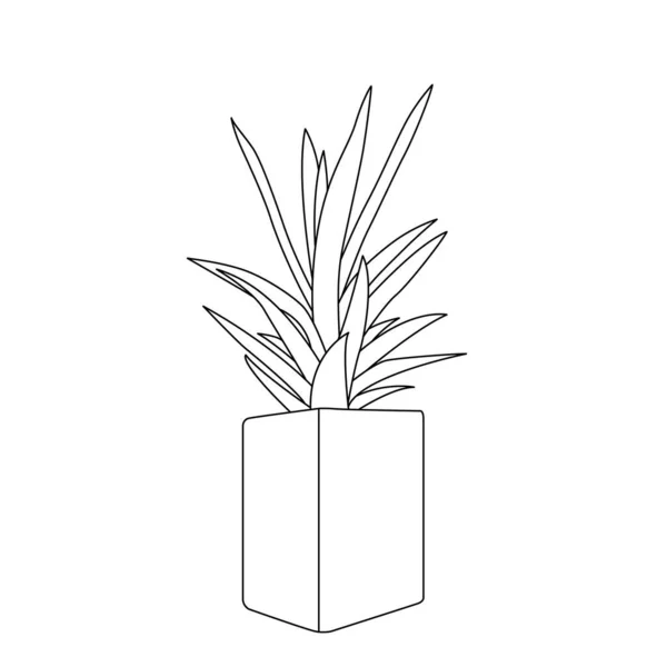 Aloe Vera Plant Illustration Drawing Engraving Ink Line Art Vector — Vector de stock