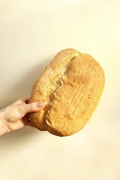 Women Hand Holding Bread Beige Background — ストック写真