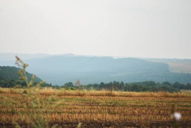 Tarlaları gören kırsal bir yer. Çevresel koruma ve gezegen bakımı. Doğal arka plan. Ukrayna manzarası