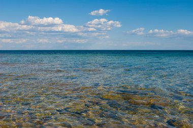belyaus, znamenskoye (Karadeniz)