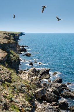 Cape tarhankut (Ukrayna, Kırım)