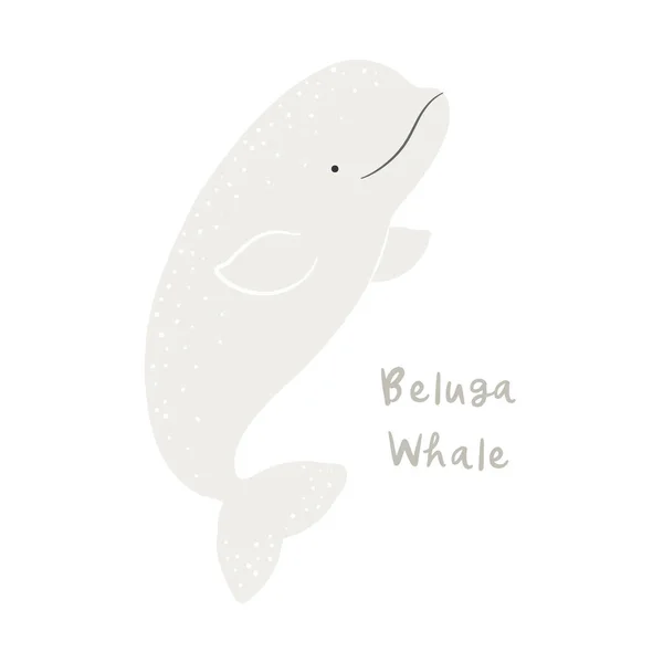 Bonito desenho animado baleia beluga, isolado em branco — Vetor de Stock