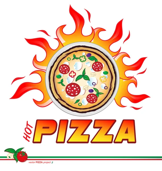 Hot pizza project — Stock Vector