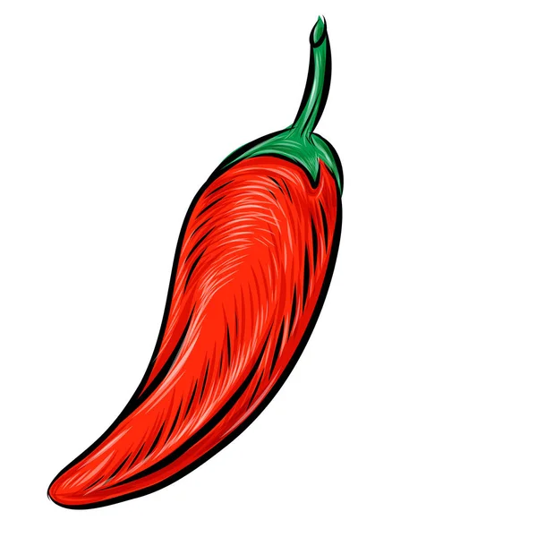 Chili Pepper Ilustración Vectorial Dibujado Mano — Vector de stock