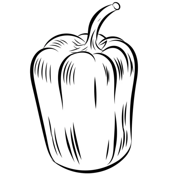 Sweet Pepper Hand Drawn Sketch Vegetable — Vetor de Stock