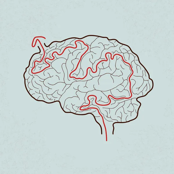 正确的路径与大脑迷宫 — 图库矢量图片