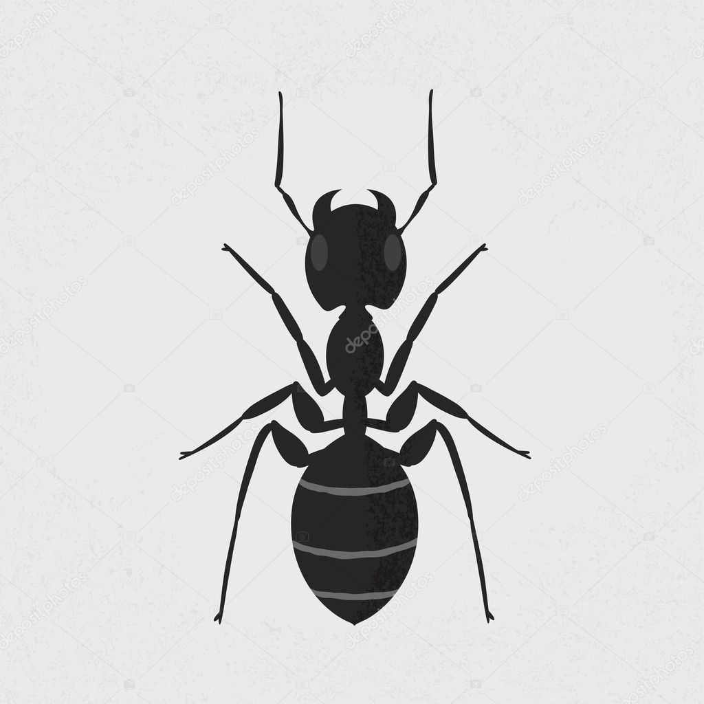 Black ant , eps10 vector format