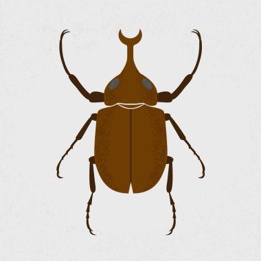 Stag beetle, en büyük böcek