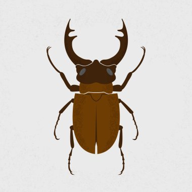Stag beetle, en büyük böcek