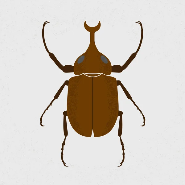 Stag beetle, the largest beetle — Stock Vector