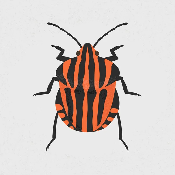 Shield bug — Stock Vector