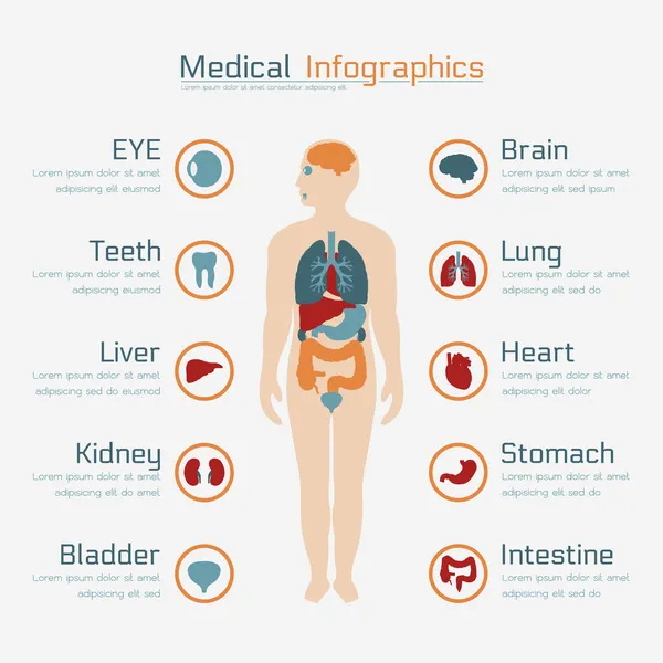 Orvosi infografika — Stock Vector