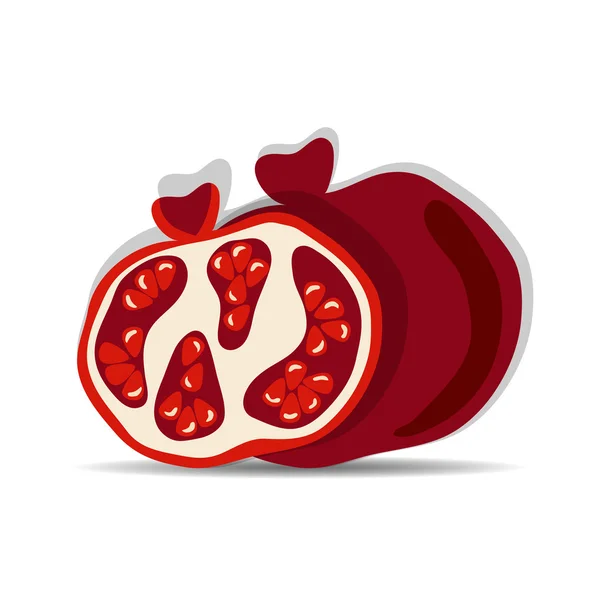 Pomegranates — Stock Vector