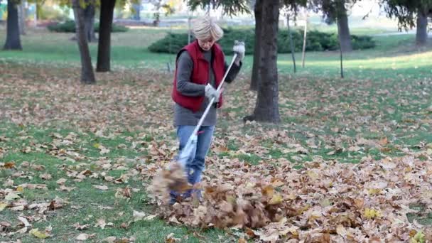 Otoño — Vídeos de Stock