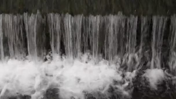 Ruisseau de montagne — Video