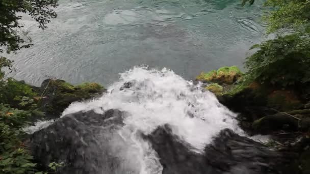 Arroyo de montaña — Vídeo de stock