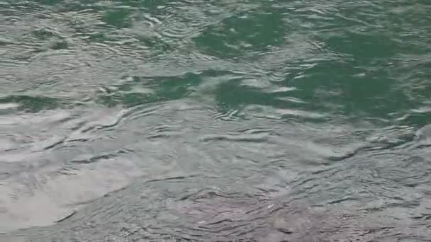Temiz nehir — Stok video