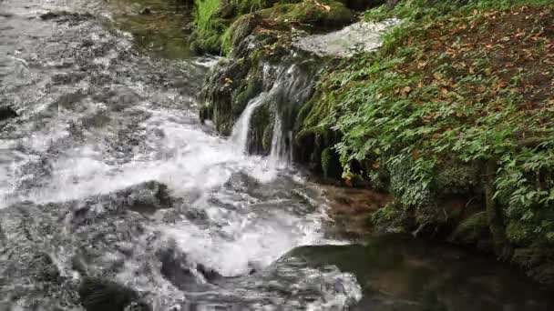 Mountain creek — Stock Video