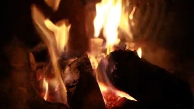Fire and logs