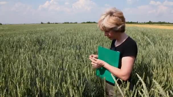 农学专家和小麦 — 图库视频影像