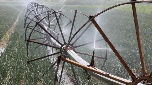 Agricultura — Vídeo de stock