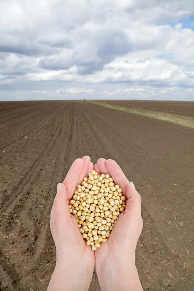 Conceito agrícola — Fotografia de Stock