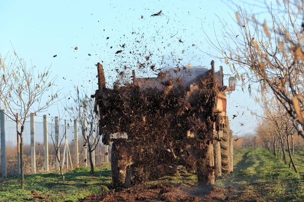 Agricoltura — Foto Stock