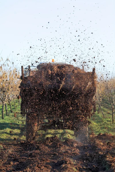 Agricultura — Foto de Stock