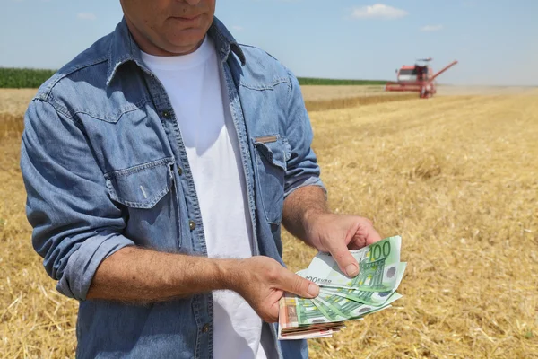 Concepto agrícola — Foto de Stock