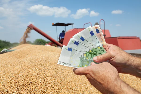 Agricultural concept — Stock Photo, Image