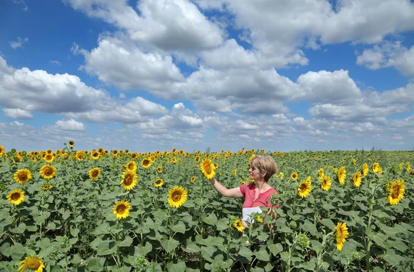 Agricoltura, agronomia — Foto Stock