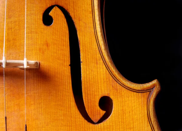 Música de violín — Foto de Stock