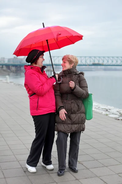 Mitten av vuxna sällskap — Stockfoto