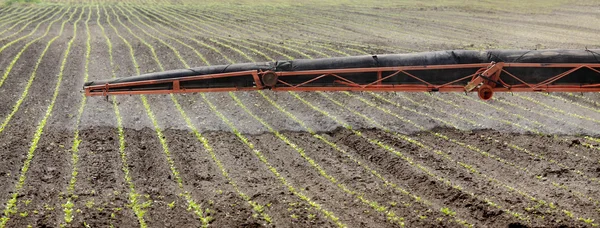 Agricultura, pulverização de campo — Fotografia de Stock