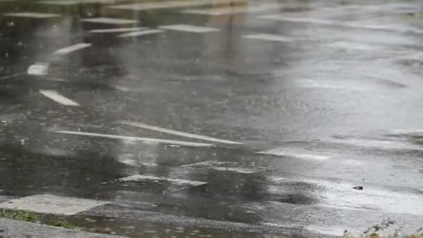 下雨天和汽车在街上 — 图库视频影像