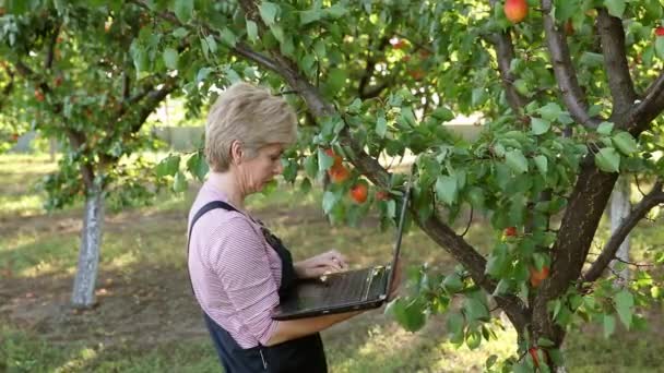 Агрономіст в абрикосовому саду — стокове відео