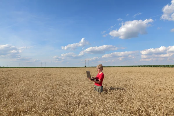 Agriculture, agronomist examine wheat field — Stock Photo, Image