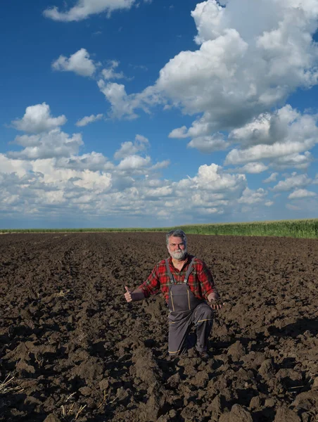 农民或农学家用大拇指在美丽的天空和云彩中耕作和打手势之后 在田里察看土地 从事农业劳动 — 图库照片