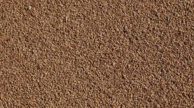 Hasat edilen buğday yığını, mahsul görüntülerine yakınlaş