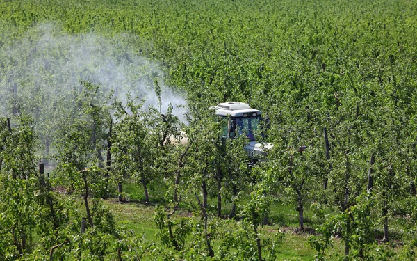 Ciągniki Wykorzystaniem Opryskiwacza Pyłu Powietrznego Chemicznym Środkiem Owadobójczym Lub Grzybobójczym — Zdjęcie stockowe