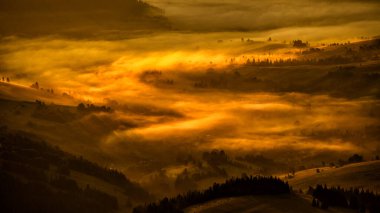 Güneş doğarken gizemli bir orman. Karpat Dağları, Ukrayna.