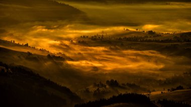 Güneş doğarken gizemli bir orman. Karpat Dağları, Ukrayna.