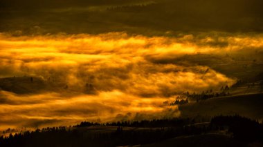 Güneş doğarken gizemli bir orman. Karpat Dağları, Ukrayna.