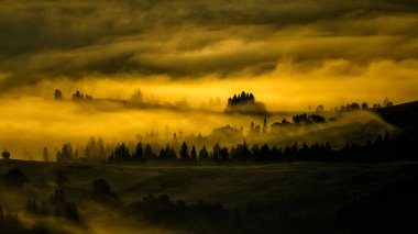 Güneş doğarken gizemli bir orman. Karpat Dağları, Ukrayna.